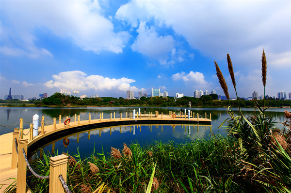 广东深圳华侨城国家湿地公园 (2)_副本.jpg