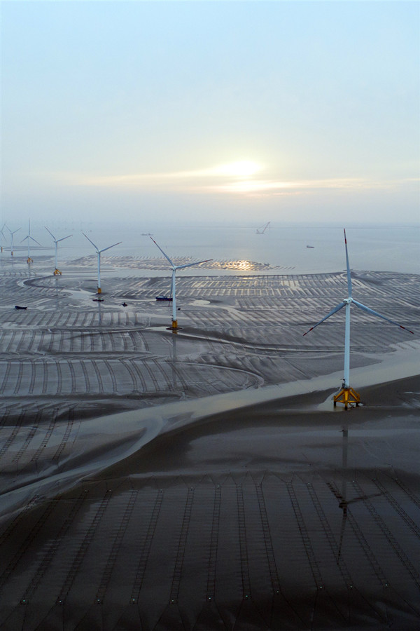 国家能源集团践行“两山”理念  发展海上风电。_副本.jpg
