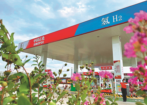 6312b6bca310fd2bec9f97d9_副本.jpg