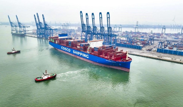 Sino02_600.jpg