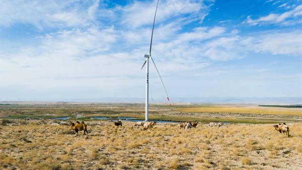 1762926085907033953.png 图片4.png