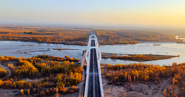 1763534138364069130.png 图片3.png