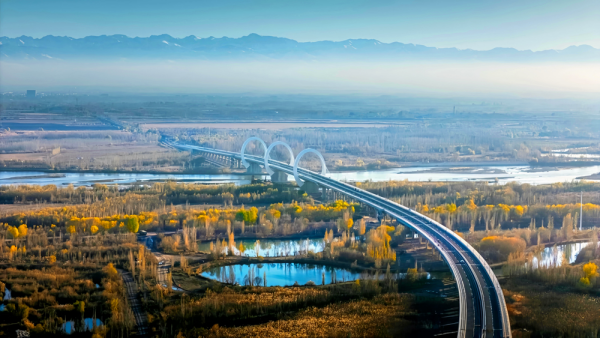 1763534159428088555.png 图片4.png