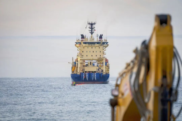 1767489499777083438.png 4.png