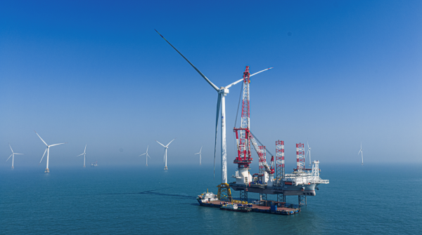 1768979546686076773.png 图片1.png