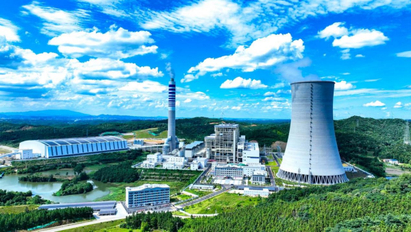 1774416620096032818.png 图片2.png