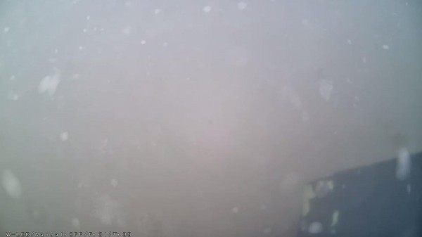 1782979506134046549.jpg 图片 3.jpg