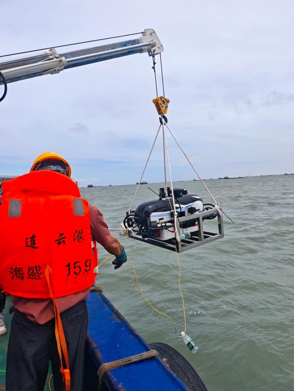 1782979519544084780.jpg 图片 4.jpg