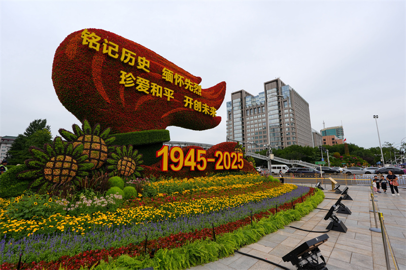 68afabe8c6d0868f1eabb895.jpeg